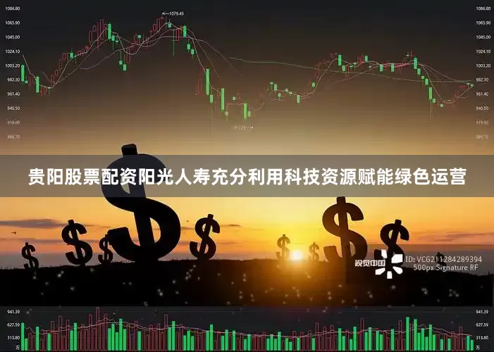 贵阳股票配资阳光人寿充分利用科技资源赋能绿色运营