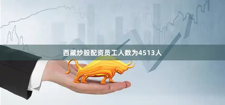 西藏炒股配资员工人数为4513人